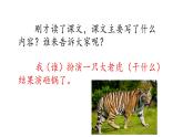 四年级上册语文人教部编版 19.一只窝囊的大老虎  课件