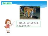 四年级上册语文人教部编版 19.一只窝囊的大老虎  课件