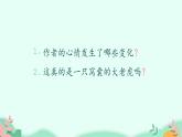 四年级上册语文人教部编版 19.一只窝囊的大老虎  课件