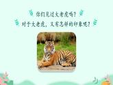 四年级上册语文人教部编版 19.一只窝囊的大老虎  课件