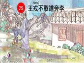 四年级上册语文人教部编版 25.王戎不取道旁李  课件