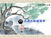 四年级上册语文人教部编版 25.王戎不取道旁李  课件17
