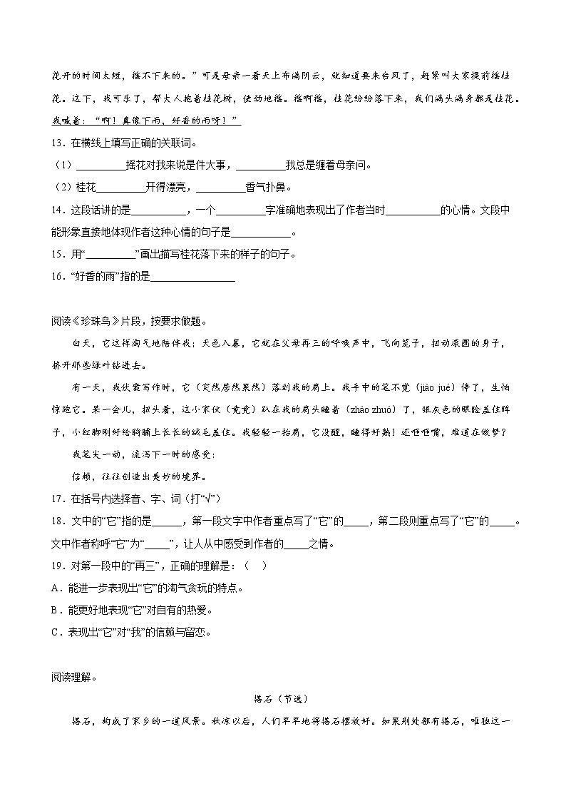 【期中专项复习】部编版语文五年级上册  知识点+05课内阅读（共17篇）（原卷+解析 双卷）03