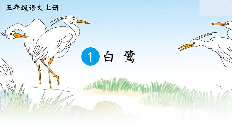 五年级上册语文人教部编版 1 白鹭  课件第3页