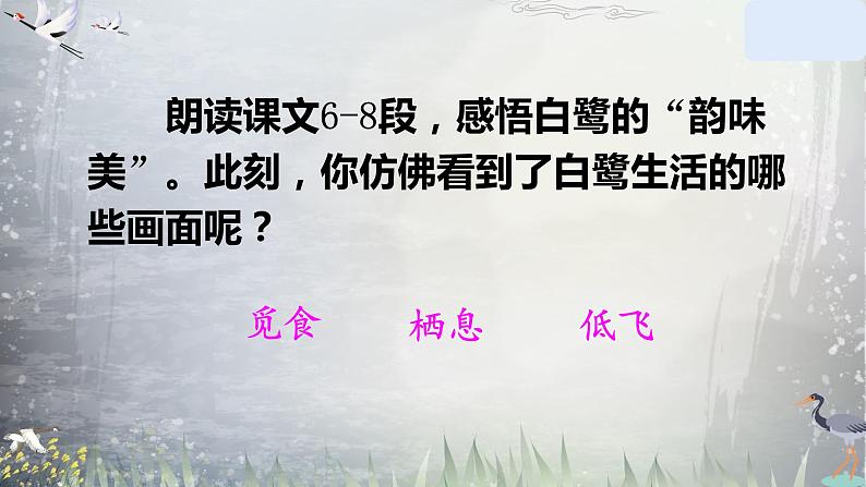 五年级上册语文人教部编版 1 白鹭  课件第4页