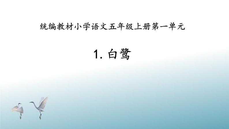 五年级上册语文人教部编版 1 白鹭  课件第1页