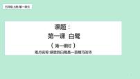 小学1 白鹭教学课件ppt