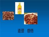 五年级上册语文人教部编版 2.落花生  课件
