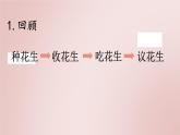 五年级上册语文人教部编版 2.落花生  课件