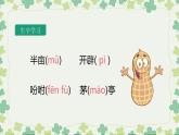 五年级上册语文人教部编版 2.落花生  课件