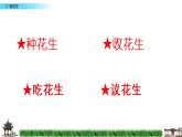 五年级上册语文人教部编版 2.落花生  课件