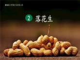 五年级上册语文人教部编版 2.落花生  课件