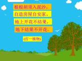 五年级上册语文人教部编版 2.落花生  课件