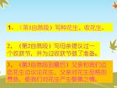 五年级上册语文人教部编版 2.落花生  课件