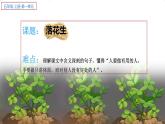 五年级上册语文人教部编版 2.落花生  课件