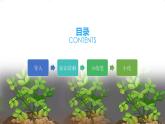 五年级上册语文人教部编版 2.落花生  课件