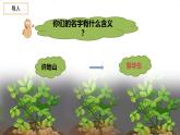 五年级上册语文人教部编版 2.落花生  课件