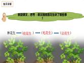 五年级上册语文人教部编版 2.落花生  课件