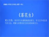 五年级上册语文人教部编版 2.落花生  课件