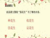 五年级上册语文人教部编版 2.落花生  课件