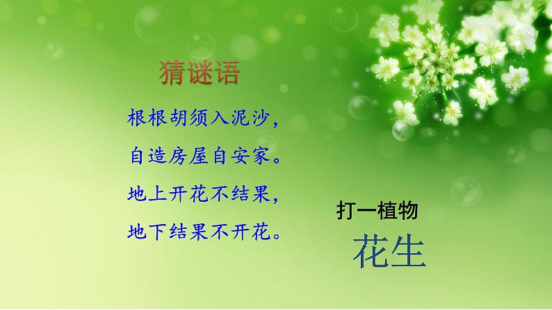 五年级上册语文人教部编版 2.落花生  课件02