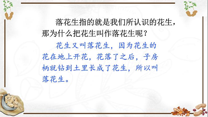 五年级上册语文人教部编版 2.落花生  课件03