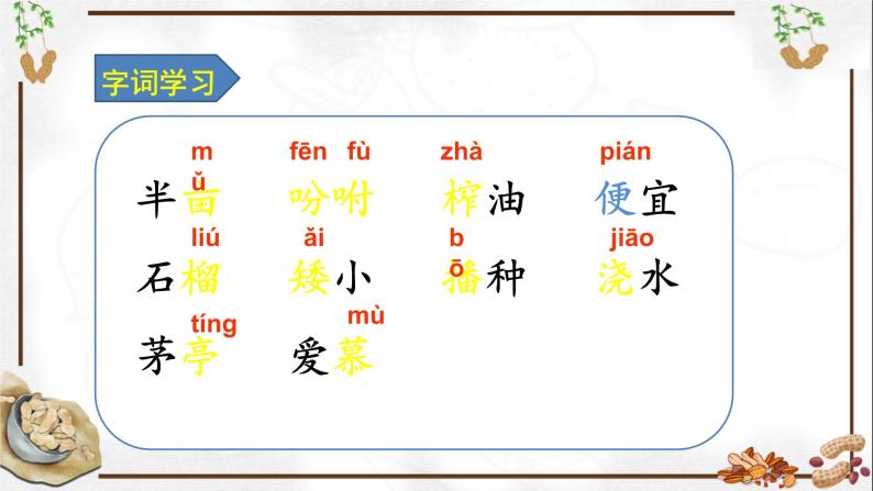 五年级上册语文人教部编版 2.落花生  课件05