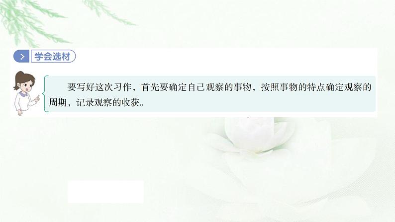 部编版小学四年级语文上册第三单元写观察日记同步作文课件第6页