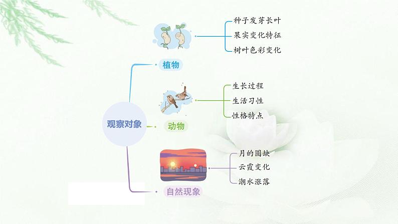 部编版小学四年级语文上册第三单元写观察日记同步作文课件第7页