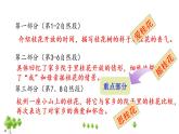 五年级上册语文人教部编版 3.桂花雨  课件