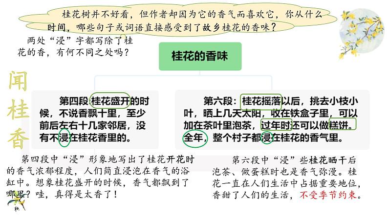 五年级上册语文人教部编版 3.桂花雨  课件第6页