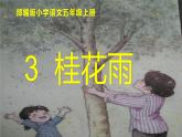 五年级上册语文人教部编版 3.桂花雨  课件