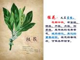 五年级上册语文人教部编版 3.桂花雨  课件