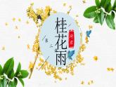 五年级上册语文人教部编版 3.桂花雨  课件