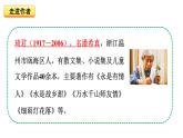 五年级上册语文人教部编版 3.桂花雨  课件