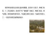 五年级上册语文人教部编版 3.桂花雨  课件