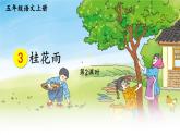 五年级上册语文人教部编版 3.桂花雨  课件