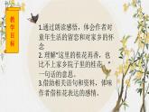 五年级上册语文人教部编版 3.桂花雨  课件