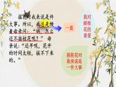 五年级上册语文人教部编版 3.桂花雨  课件