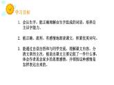 五年级上册语文人教部编版 3.桂花雨  课件