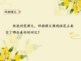 五年级上册语文人教部编版 3.桂花雨  课件