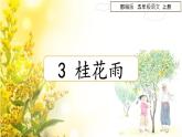 五年级上册语文人教部编版 3.桂花雨  课件