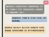 五年级上册语文人教部编版 3.桂花雨  课件