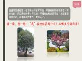 五年级上册语文人教部编版 3.桂花雨  课件