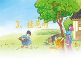五年级上册语文人教部编版 3.桂花雨  课件