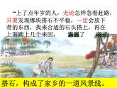 五年级上册语文人教部编版 5.搭石  课件