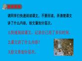 五年级上册语文人教部编版 5.搭石  课件