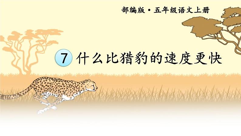 五年级上册语文人教部编版 7.什么比猎豹的速度更快  课件01