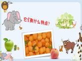 部编语文一上：识字7.大小多少 精品PPT课件+教案