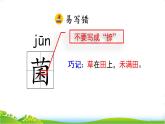 五年级上册语文人教部编版 16.太阳  课件